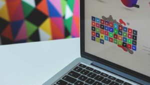 check wordpress theme