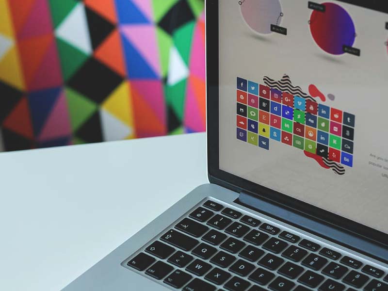 check wordpress theme