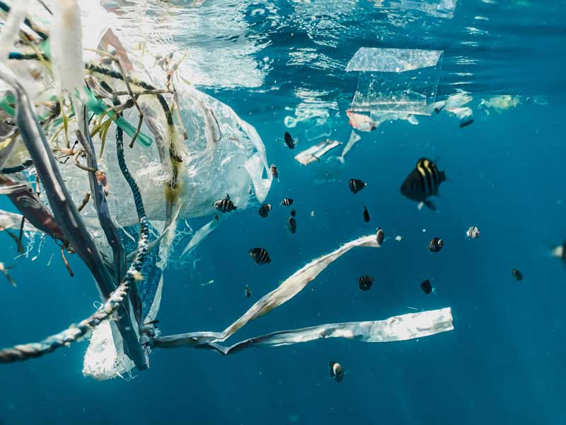 plastic bags are used